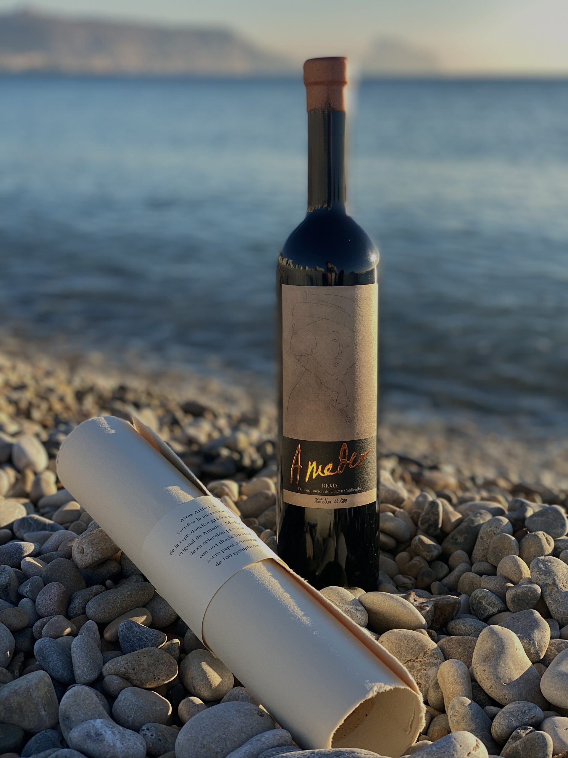 Vinos & Bodegas